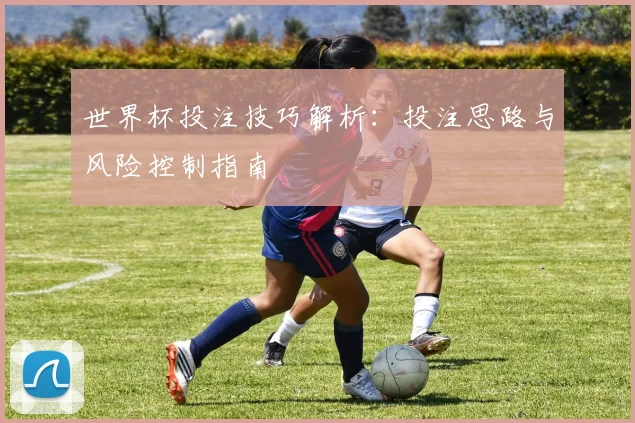 世界杯投注技巧解析:投注思路与风险控制指南