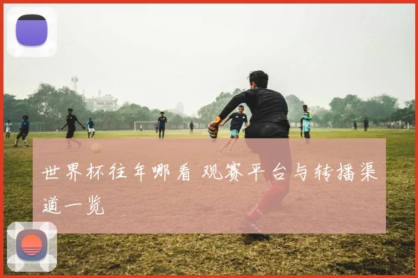 世界杯往年哪看 观赛平台与转播渠道一览